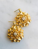 Brilliant Flowers