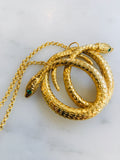 Double Snakes