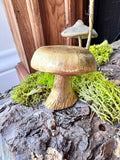 Mushroom Trinket Box