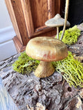 Mushroom Trinket Box