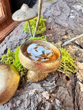 Mushroom Trinket Box
