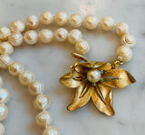 Dogwood and Pearls